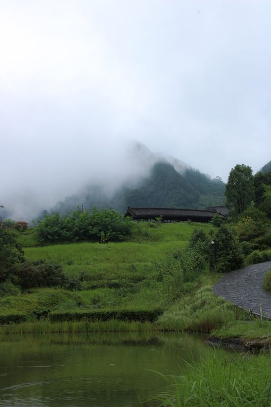 雾里的山村