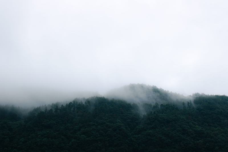 雾锁山林