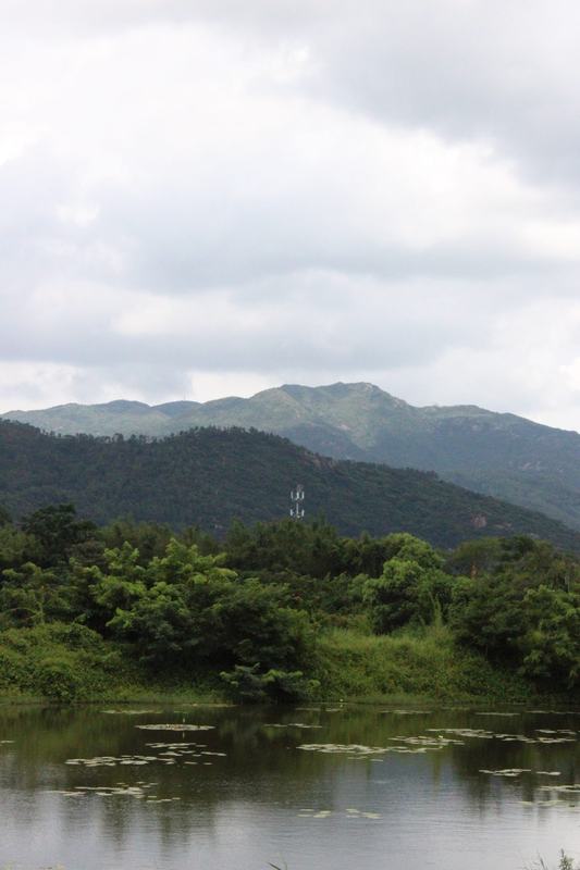 层叠青山