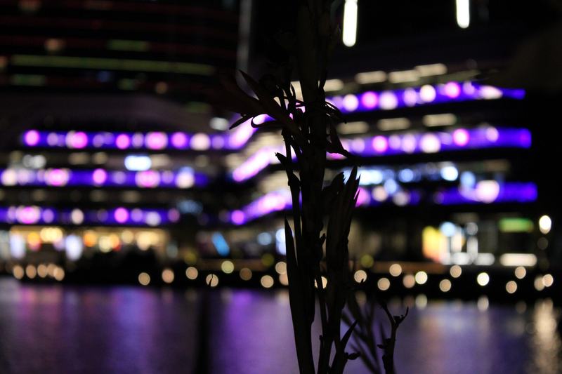 夜里的光轨