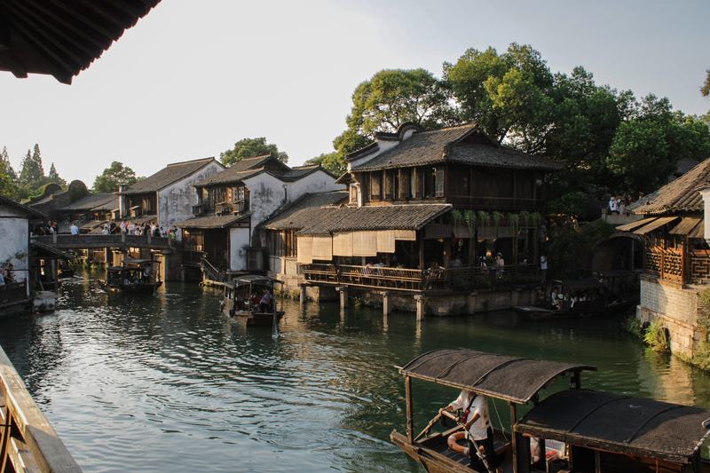 水边的树