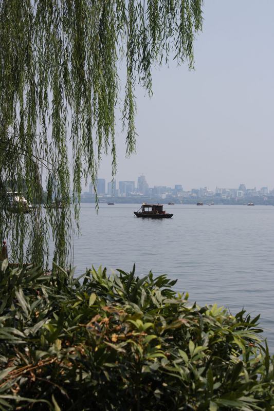 柳枝与湖