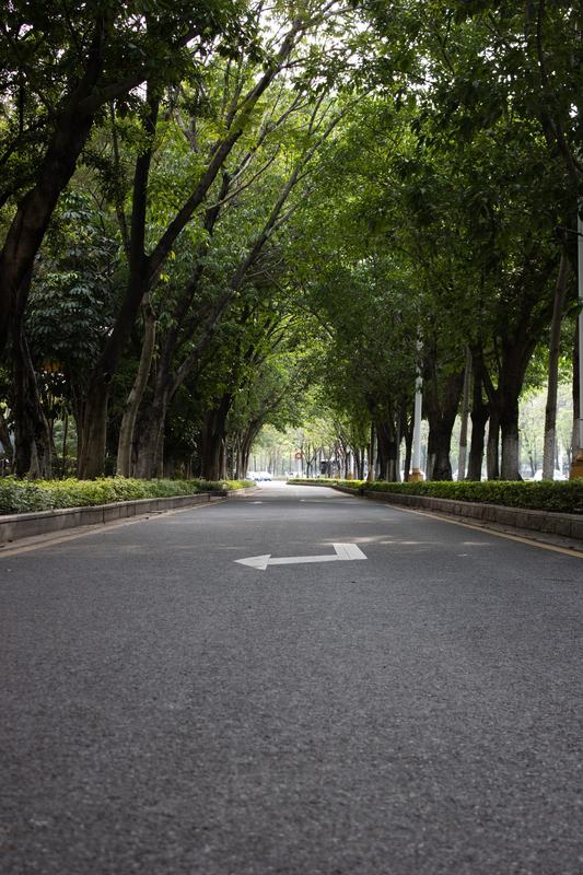 林荫路标