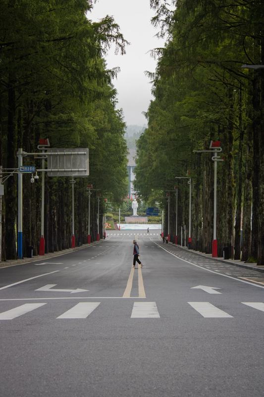 林荫大道