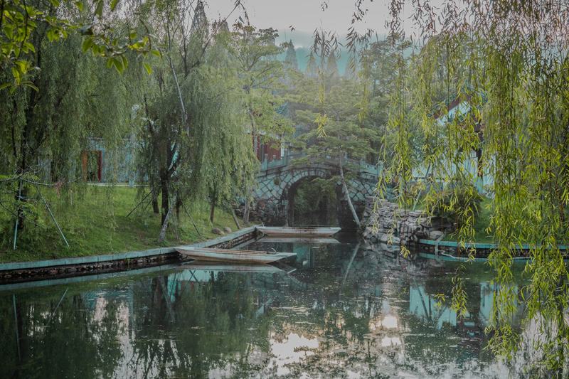 柳与石桥