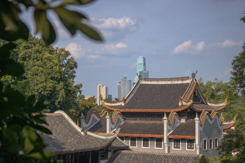 飞檐与塔楼