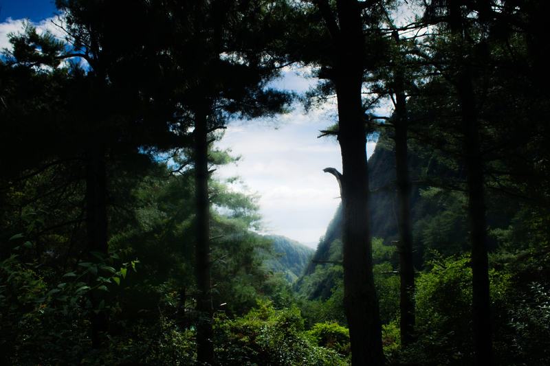 林间远山