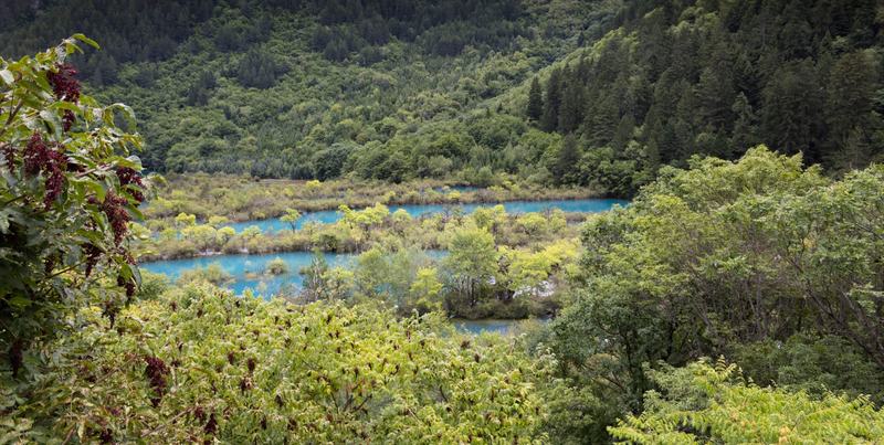 树正群海 · 钙化滩